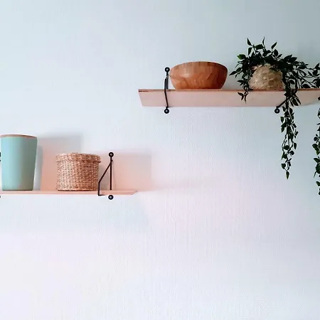 L'idylle : T2 De Standing Avec Parking - Gare/cite Des Congres/lieu Unique Daire Nantes