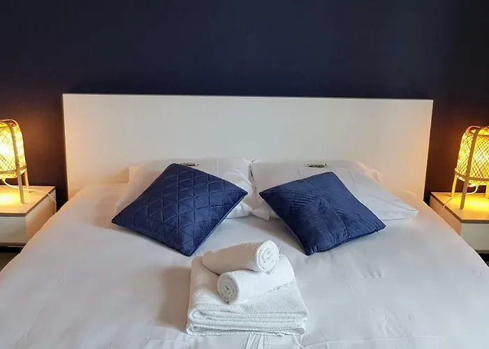 L'idylle : T2 De Standing Avec Parking - Gare/cite Des Congres/lieu Unique * نانت